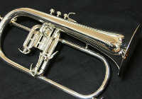 フリューゲルホルン