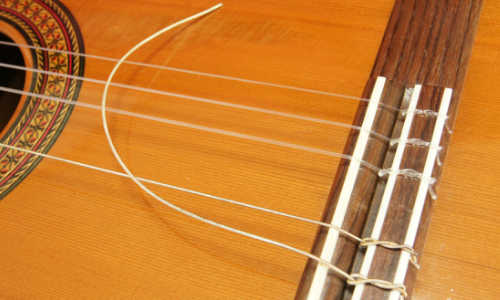 弦が切れた、弦が無い