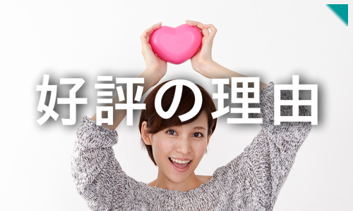 カイトリックスが好評の理由