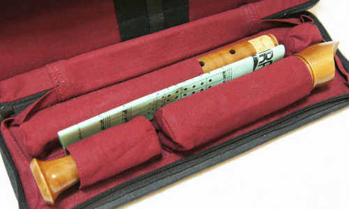 ケースと付属品類